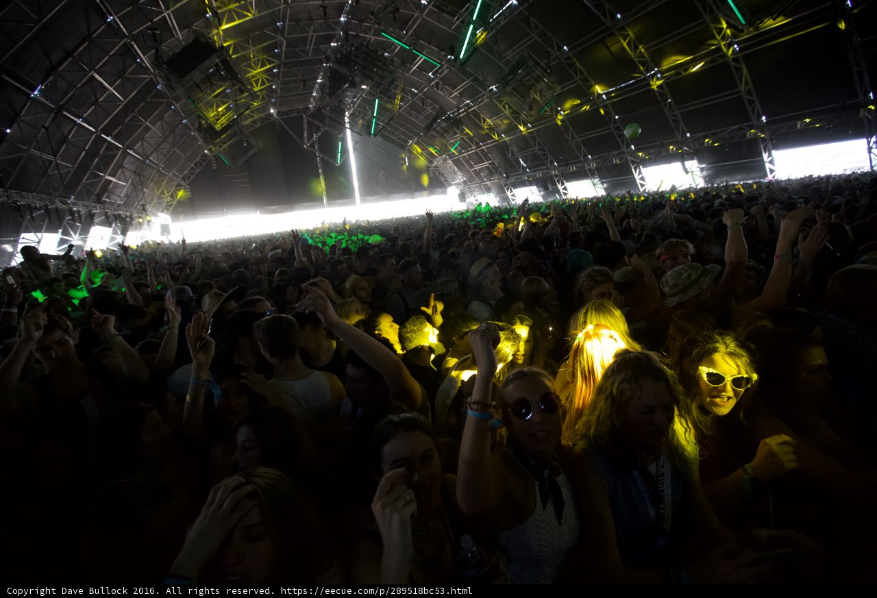 Electric Crowd at Coachella