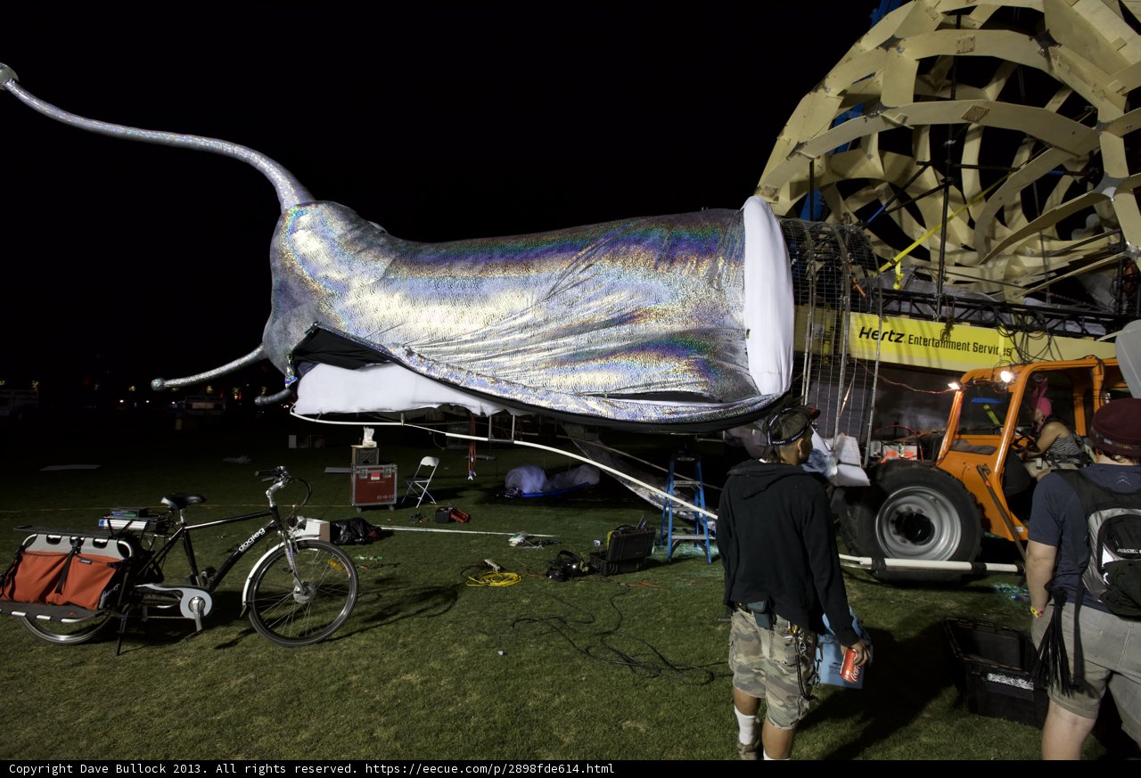 The Whale Rides Through Coachella