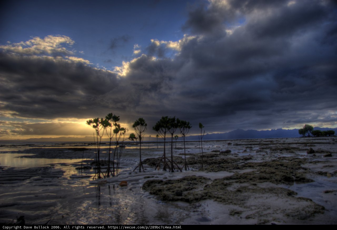 Stormy Beachscape