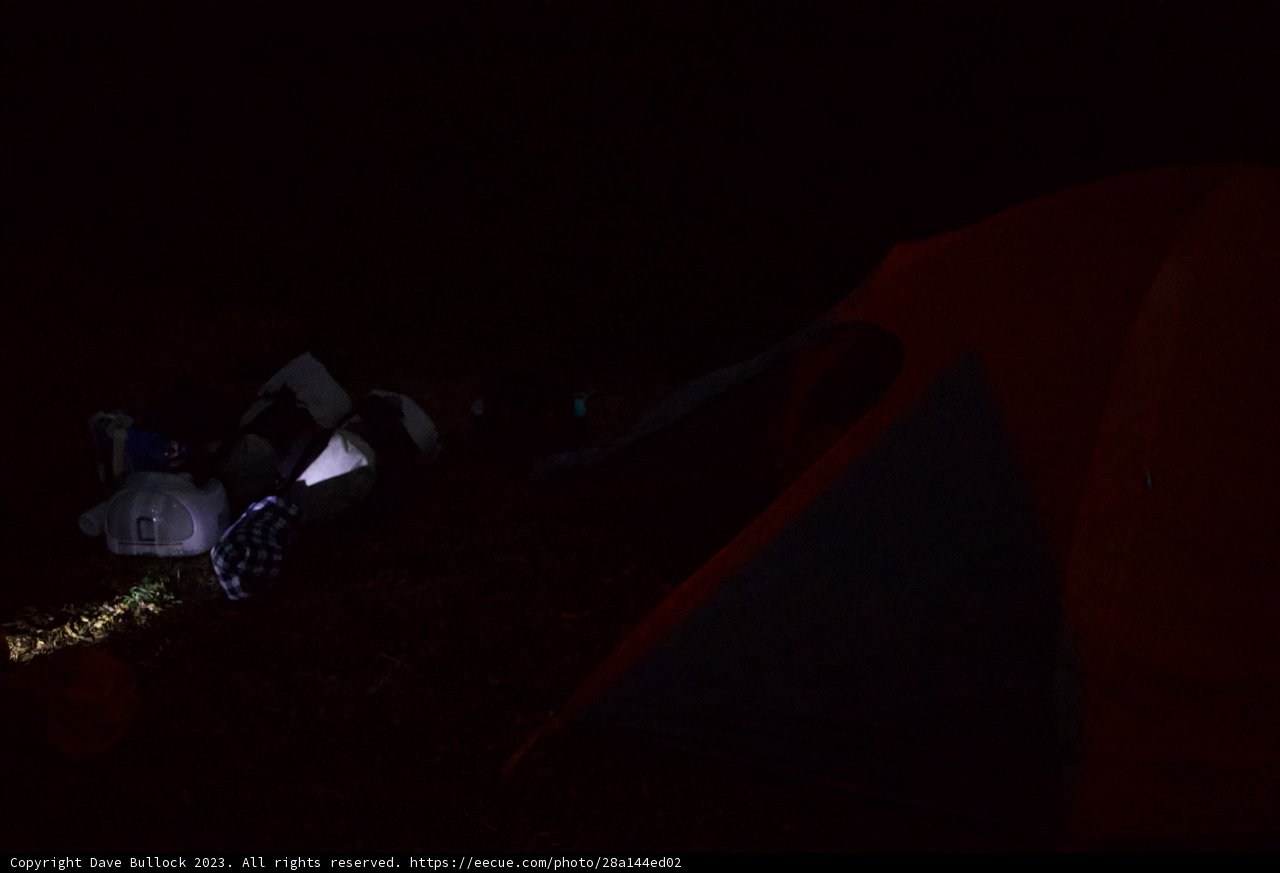 Illuminating Wilderness