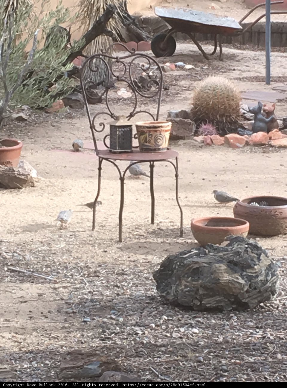 Desert Furniture