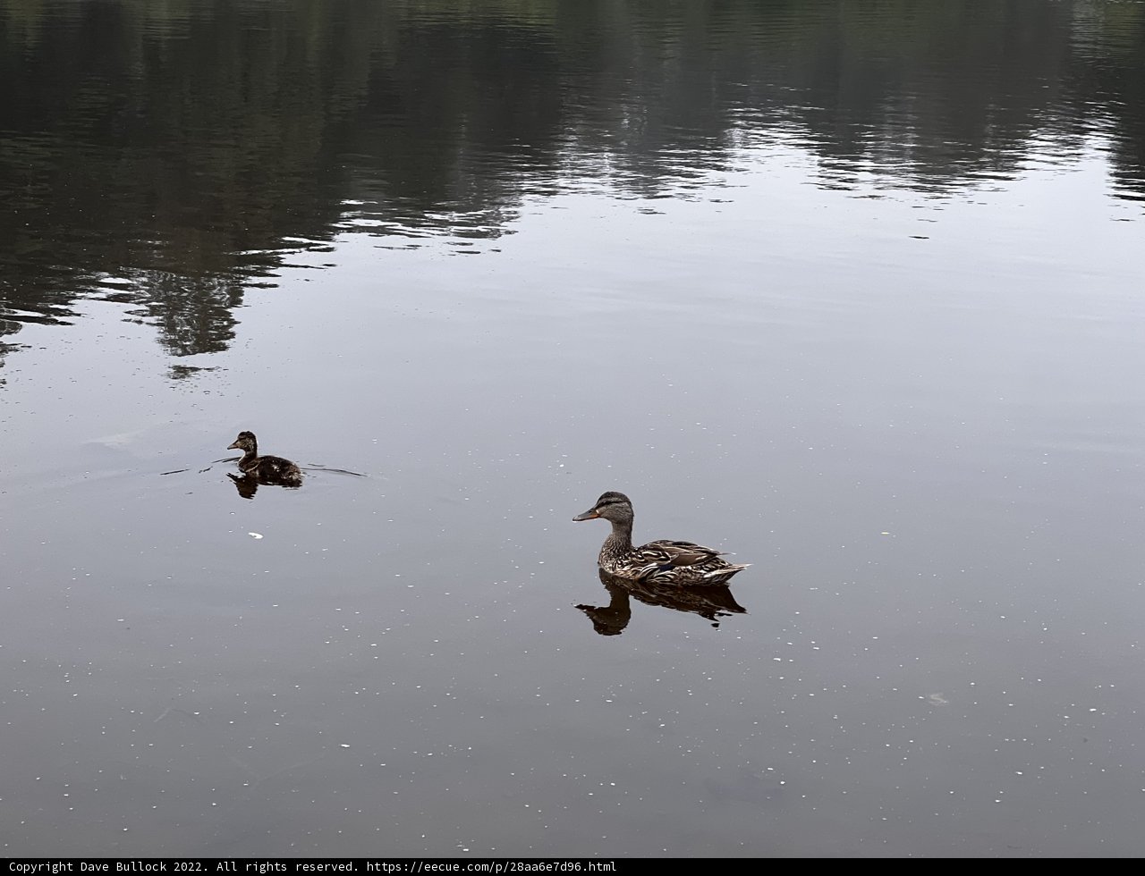 Serenity on Mountain Lake
