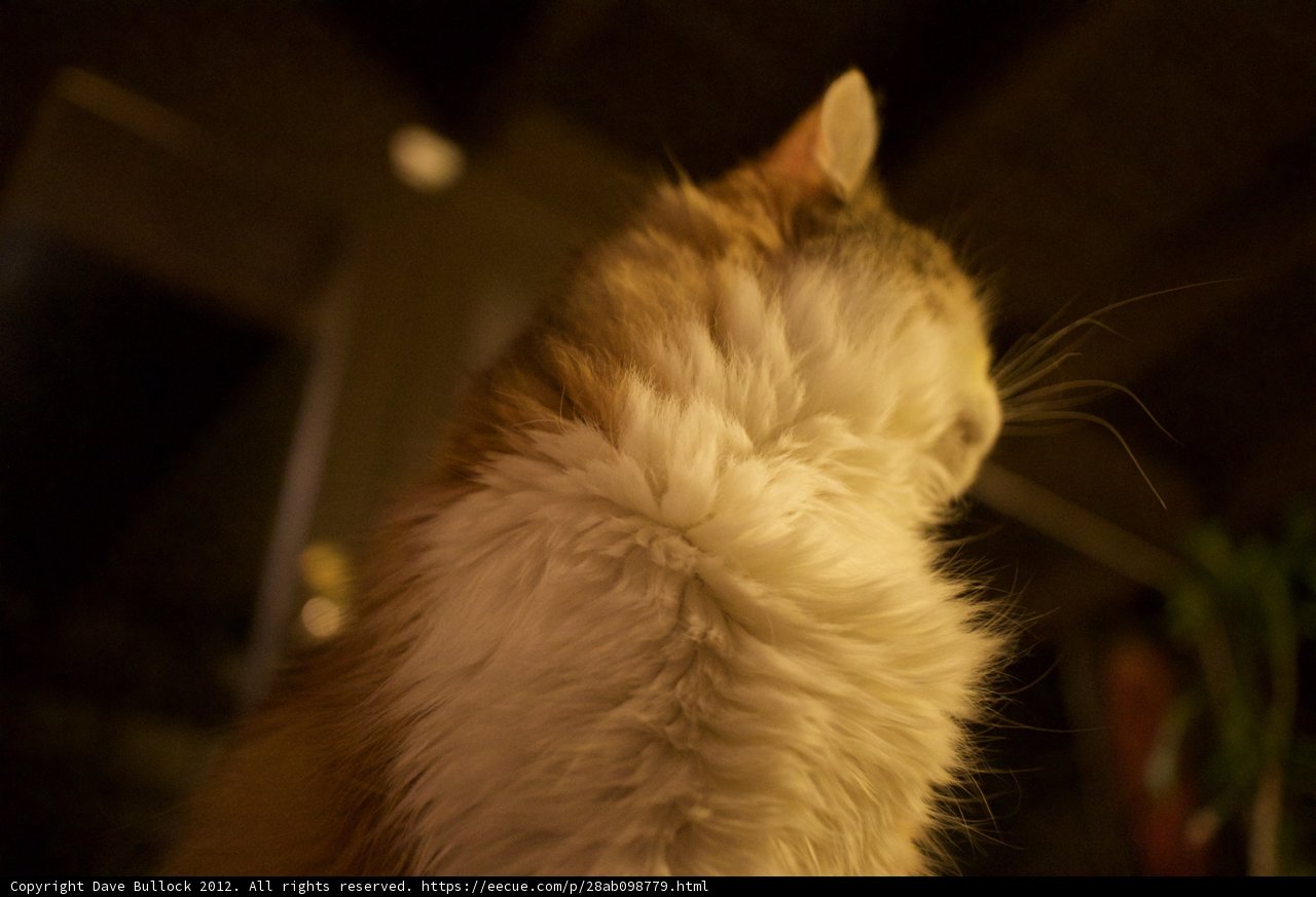 Staring into the Night Sky