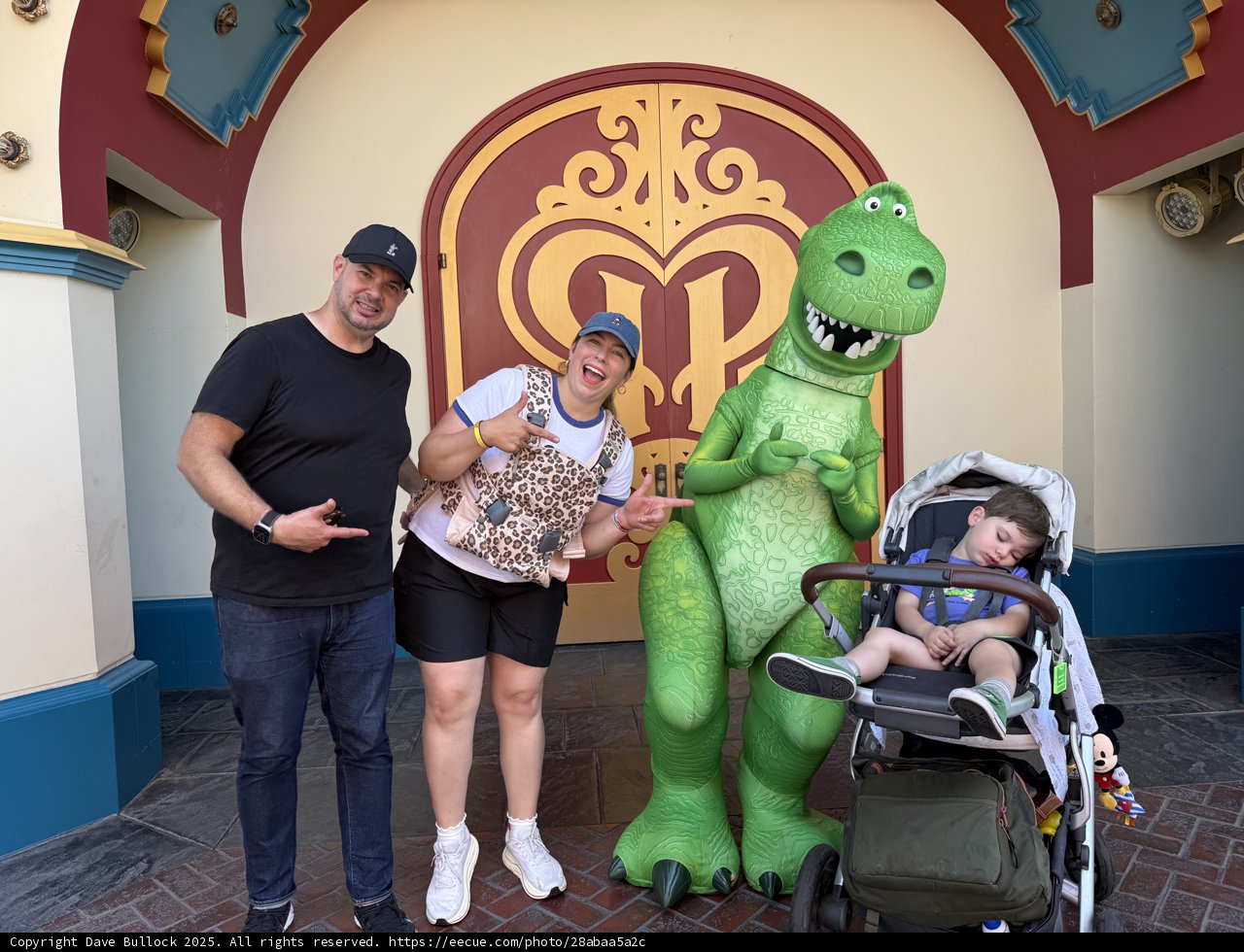 Dino Dreams and Family Fun