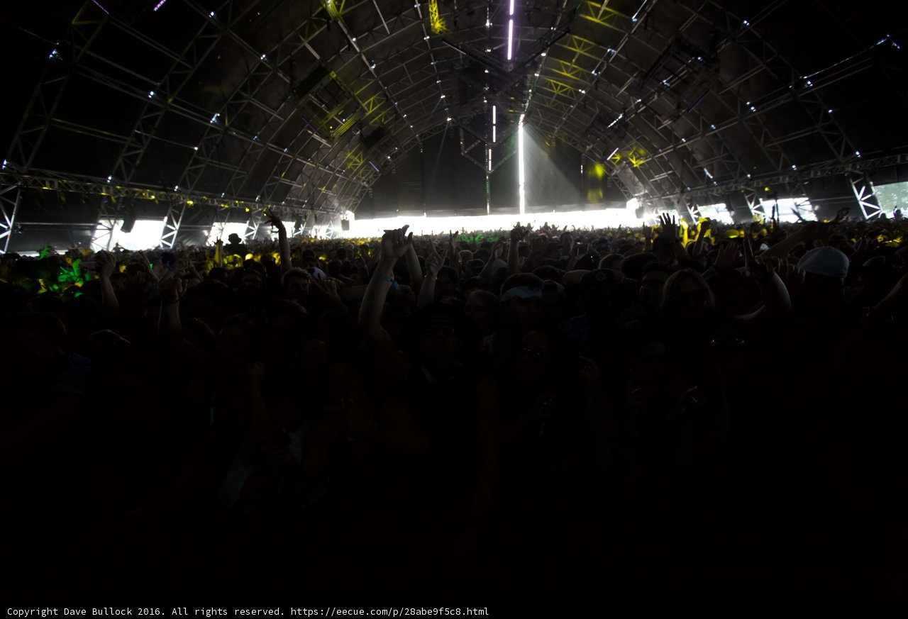 Electric Nights at Coachella