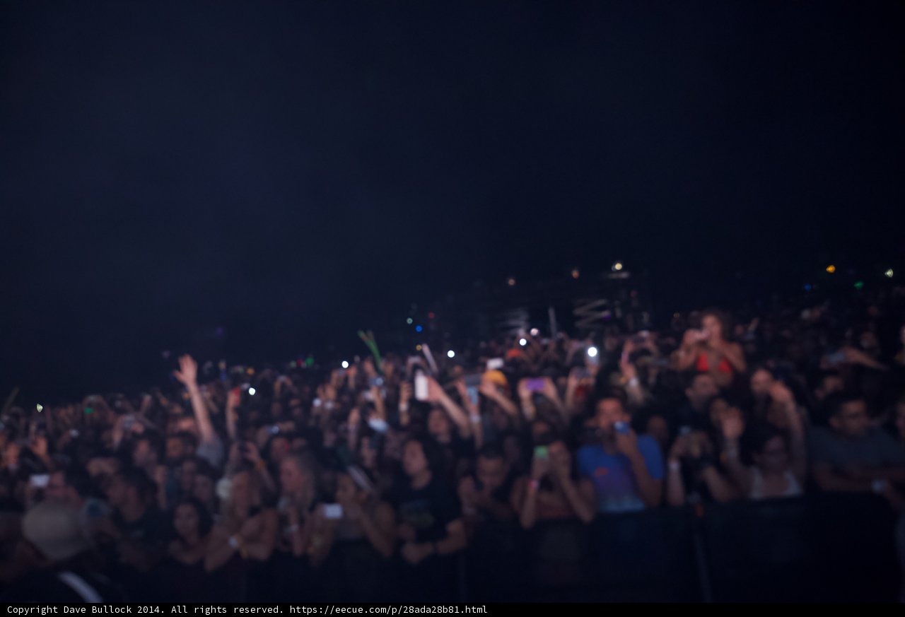High-Energy Crowd at Coachella Concert