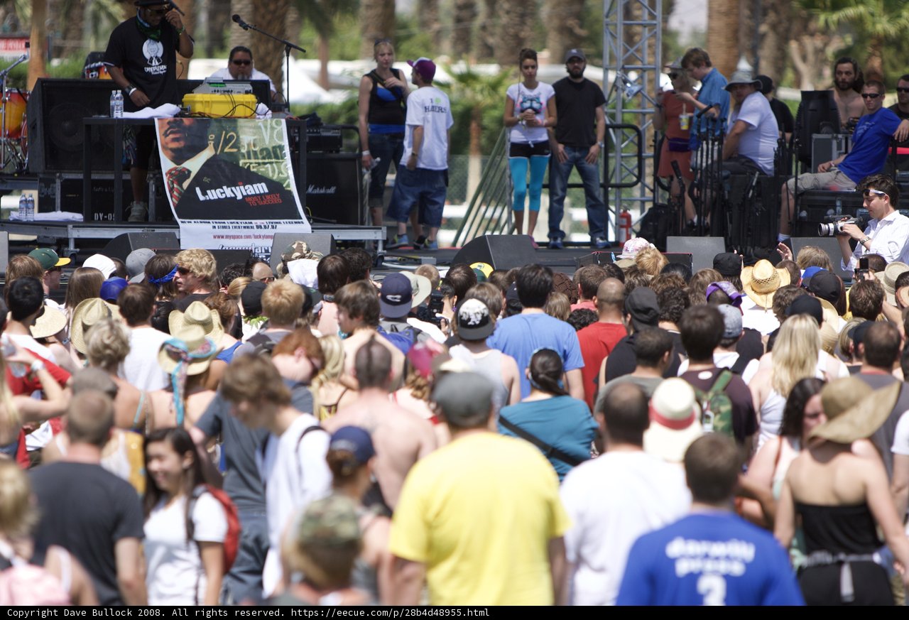 The Rhythmic Crowd at Coachella Music Festival