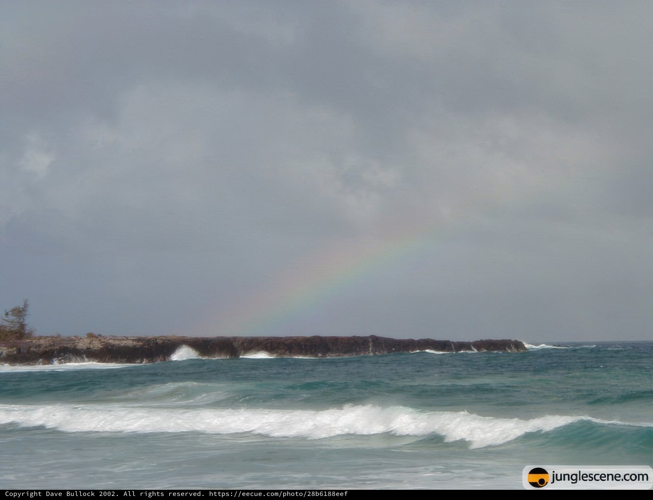 Spectacular Rainbow over the Majestic Hawaiian Ocean