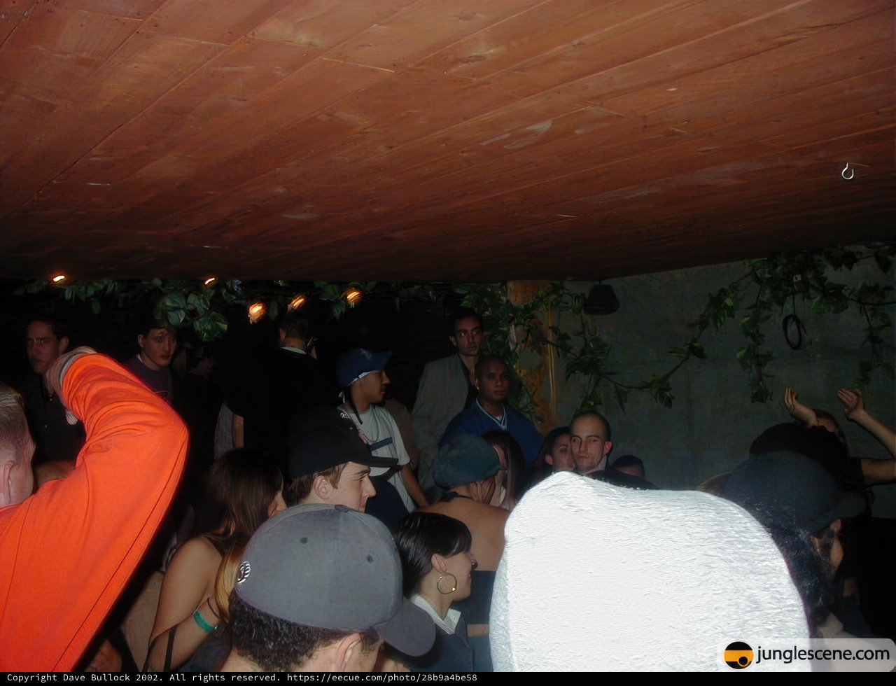 Nightclub Crowd with Hat-wearing Gentleman