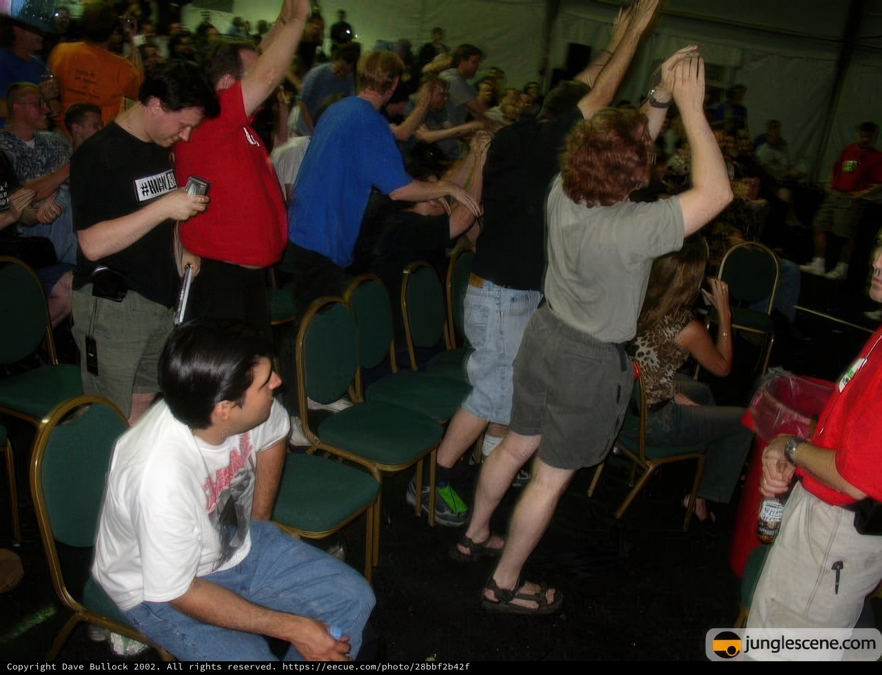 Crowd's Ecstatic Energy