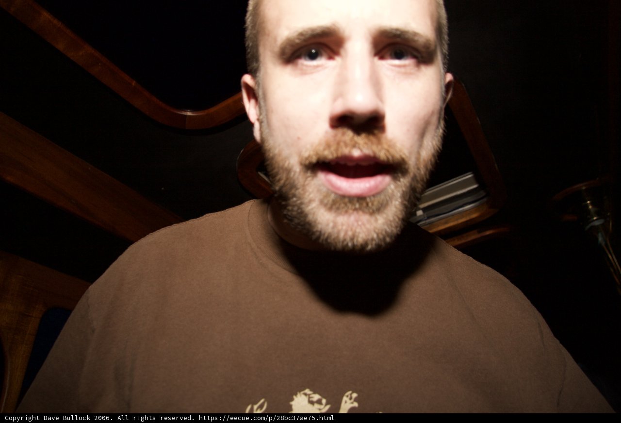 Portrait of a Bearded Man