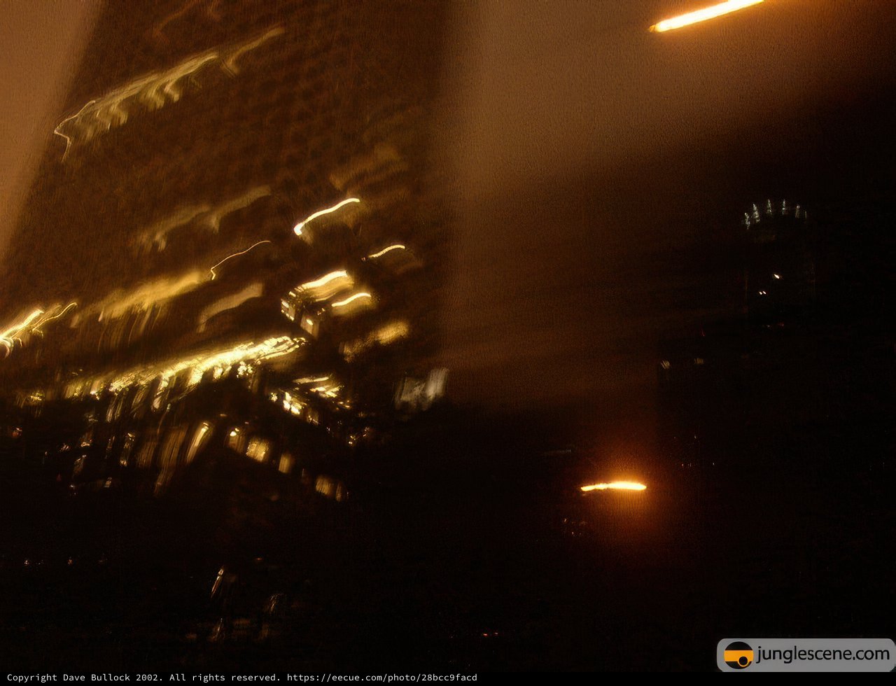 City Lights at Night