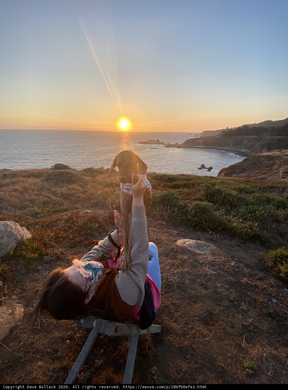 Sunset Serenity with Furry Friend