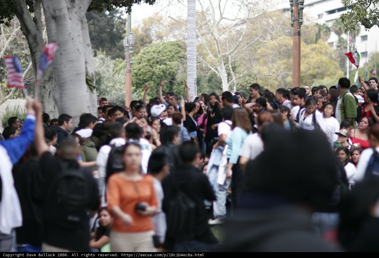 School Walkout Crowd in the Park