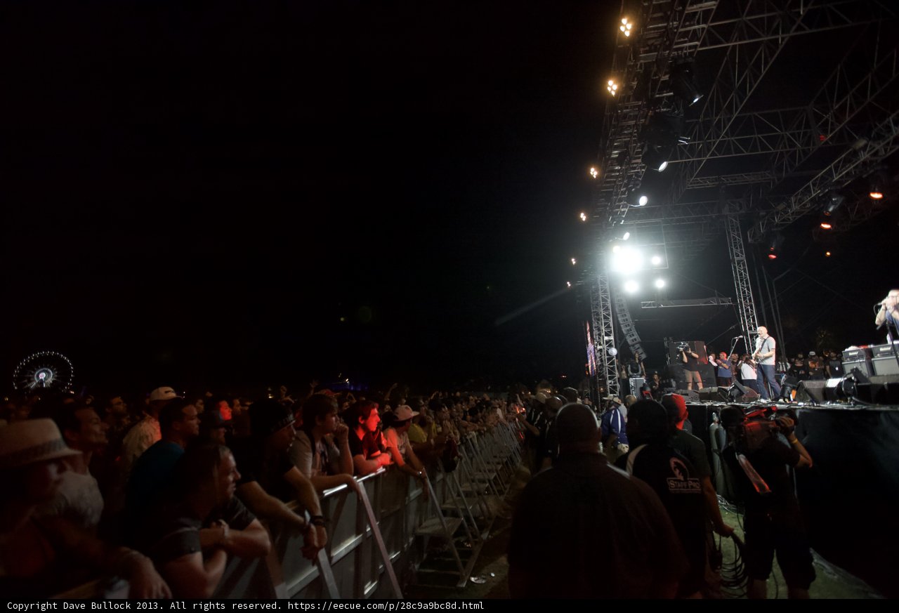 Rocking Out Under the Night Sky