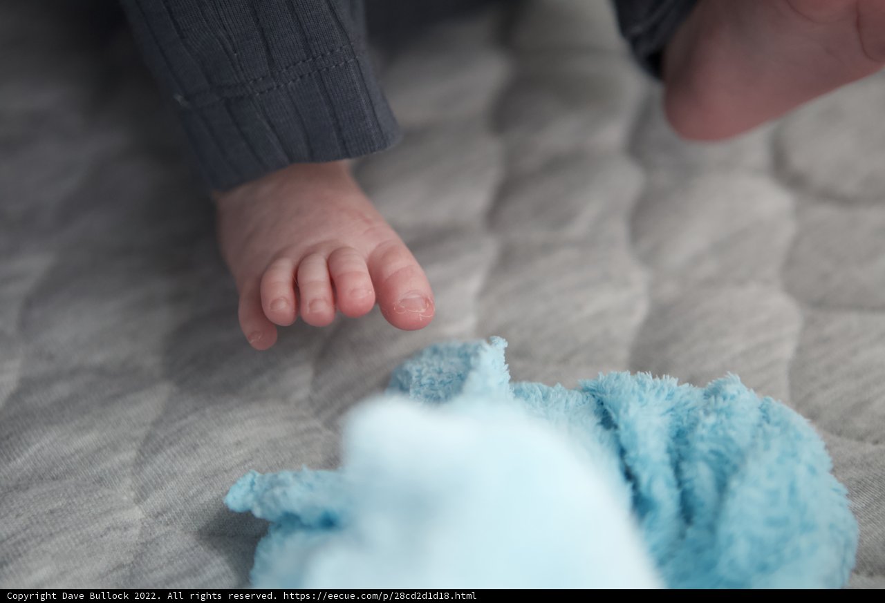 Baby's First Touch of Blue Cloud