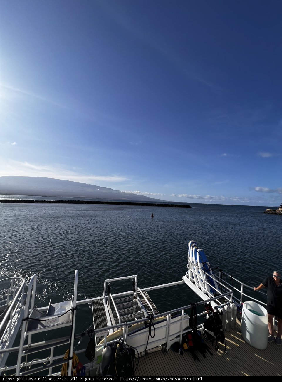 A Serene View of the Ocean