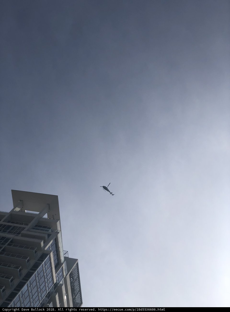 Urban Flight