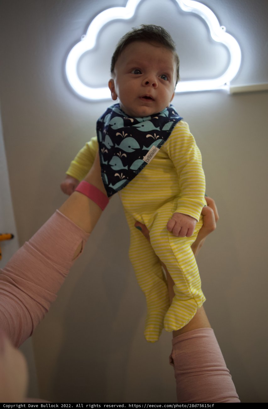 Lights & Littles: Wesley 2 Months