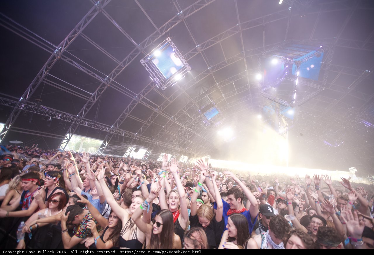 Rocking with the Crowd