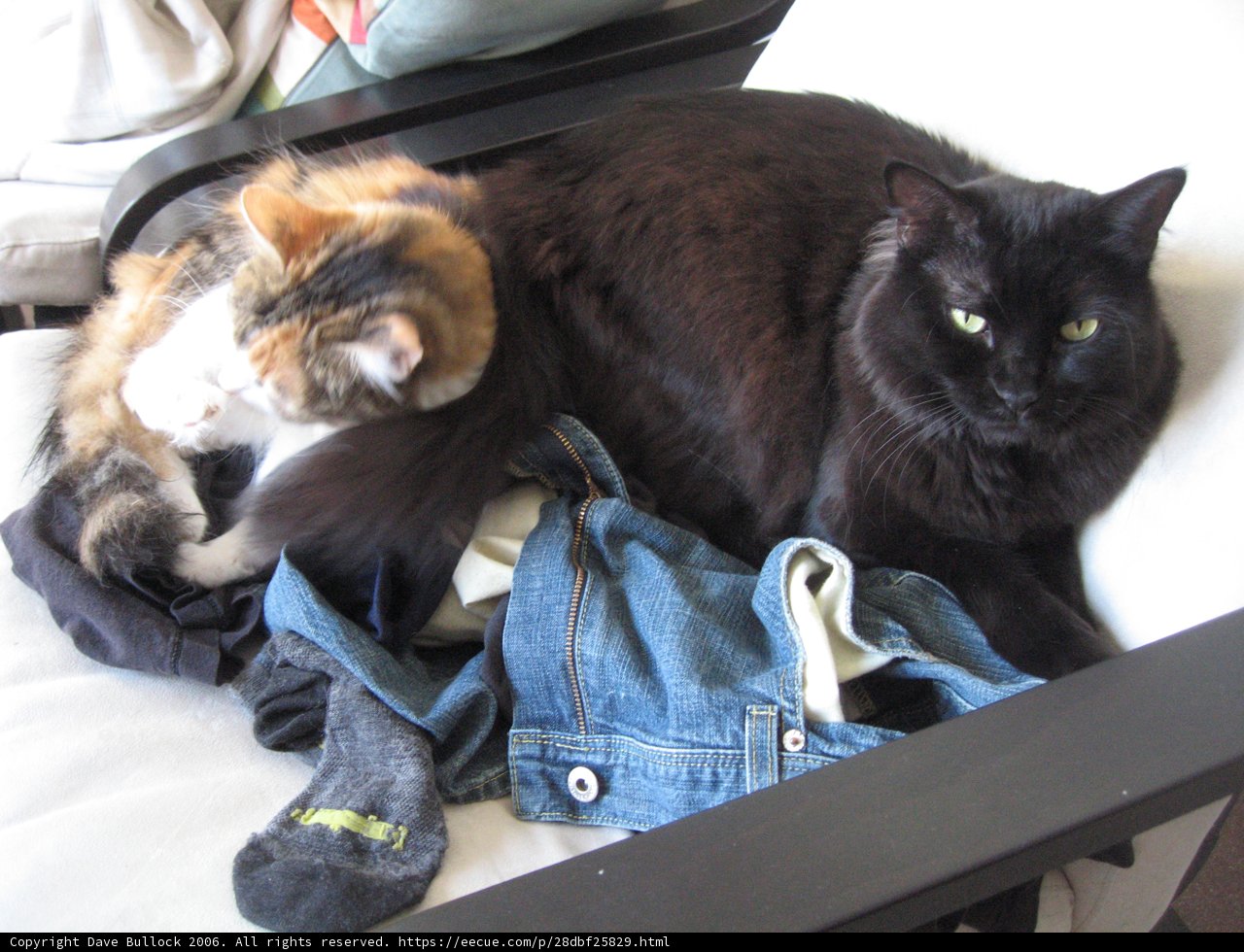 Comfortable in Denim