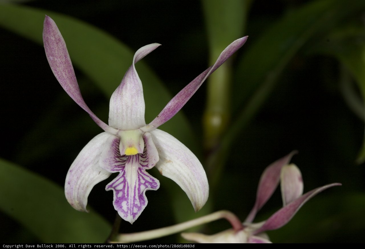 Beauty in Bloom