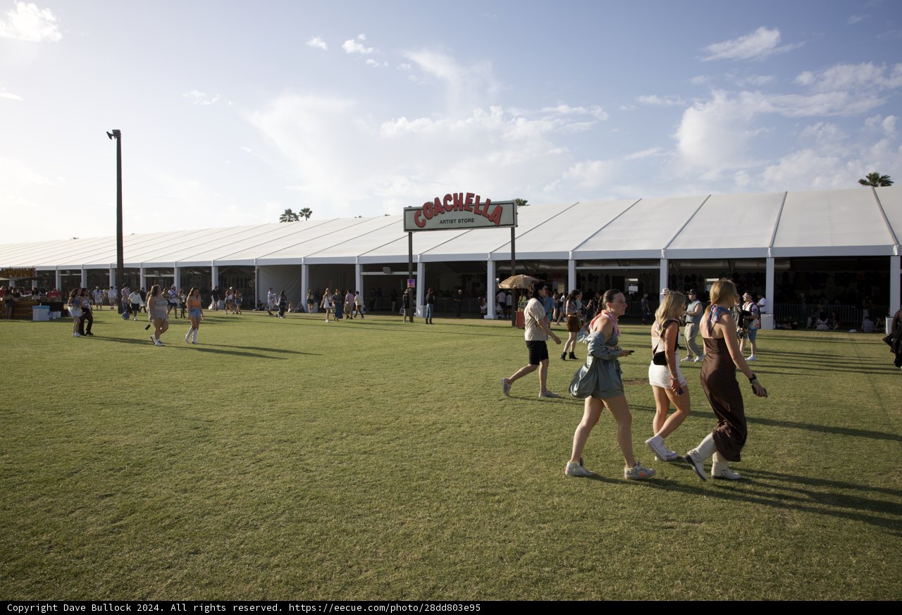 Sunny Afternoon at Coachella 2024