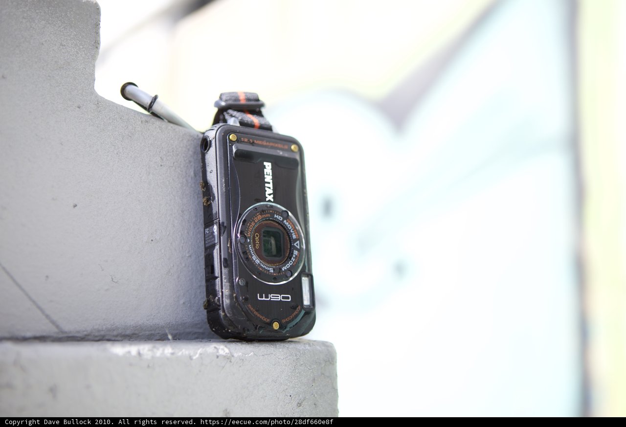 Lone Camera in the Wilderness