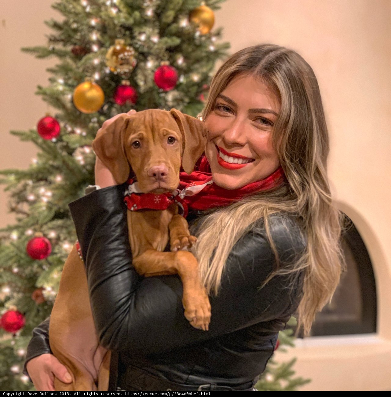 Christmas with My Furry Friend