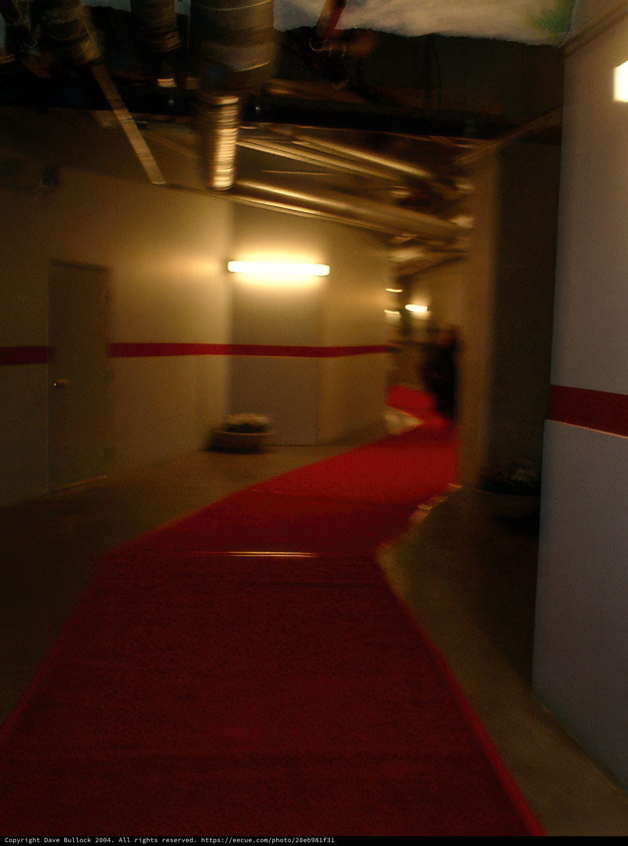 Fashionable Premiere on the Red Carpet