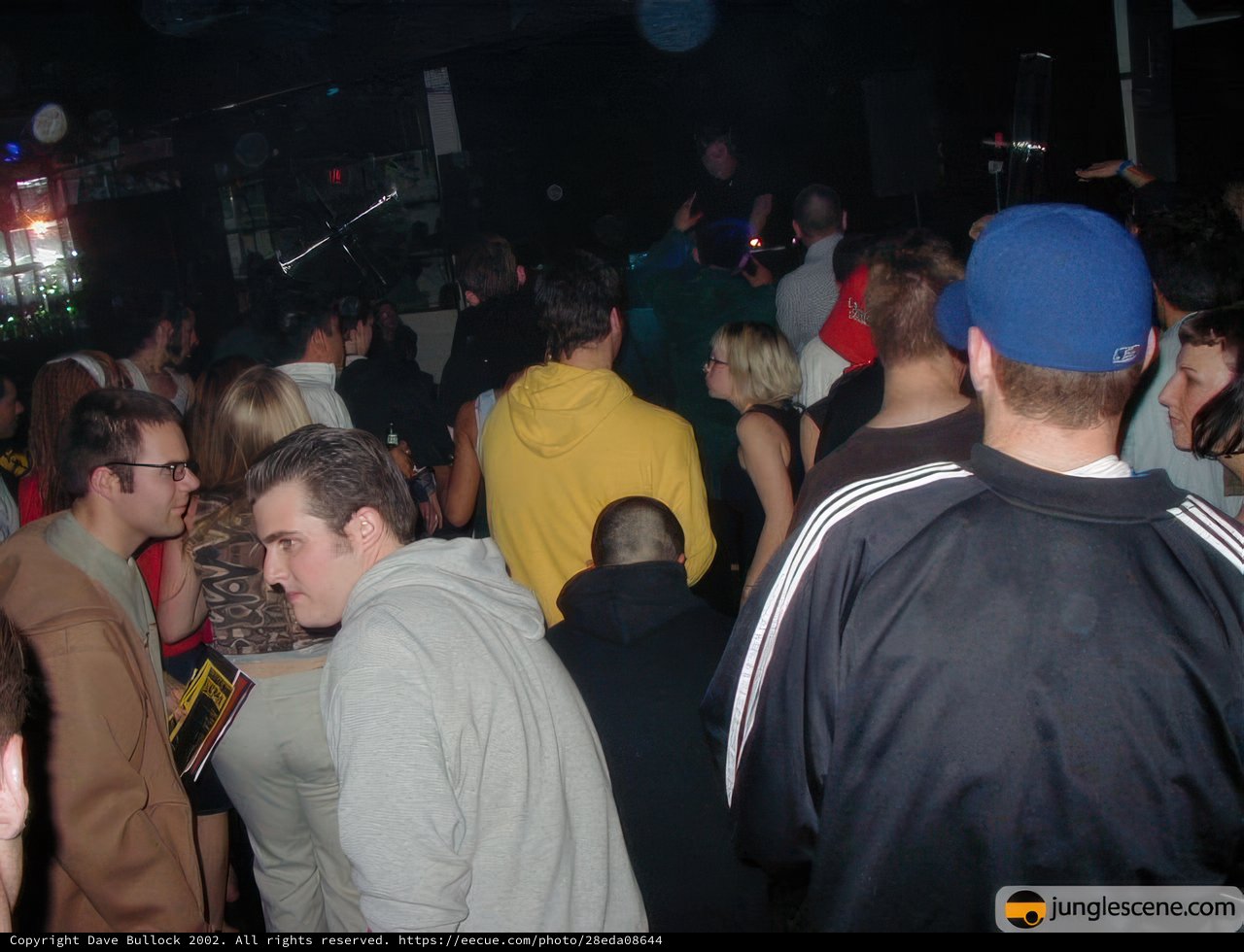 Partygoers at a Nightclub