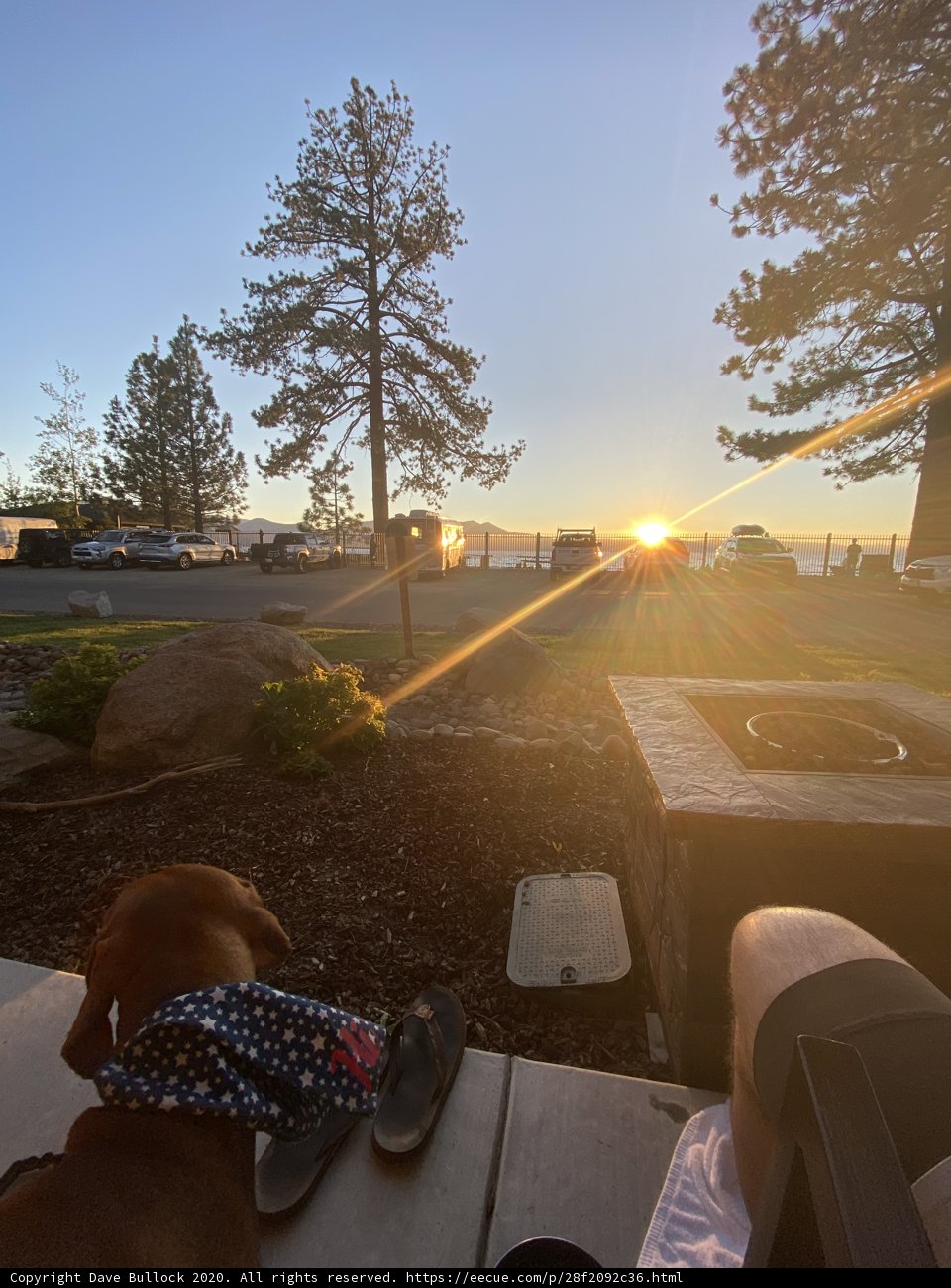Sunset Companion
