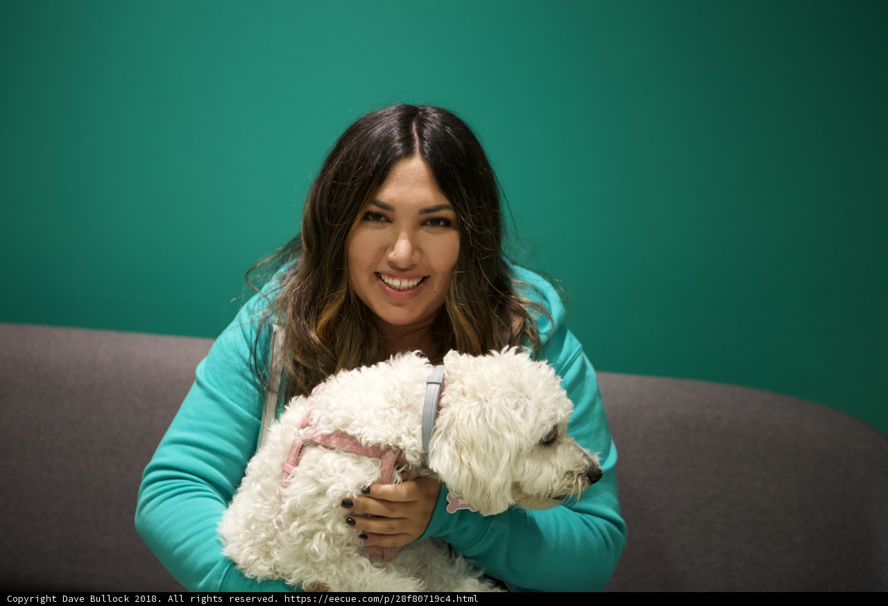 Woman's Best Friend