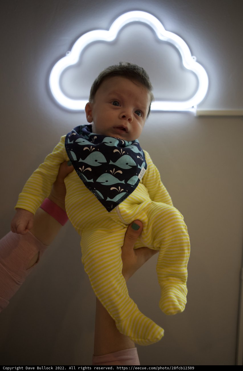 Neon Nights with Baby Wesley
