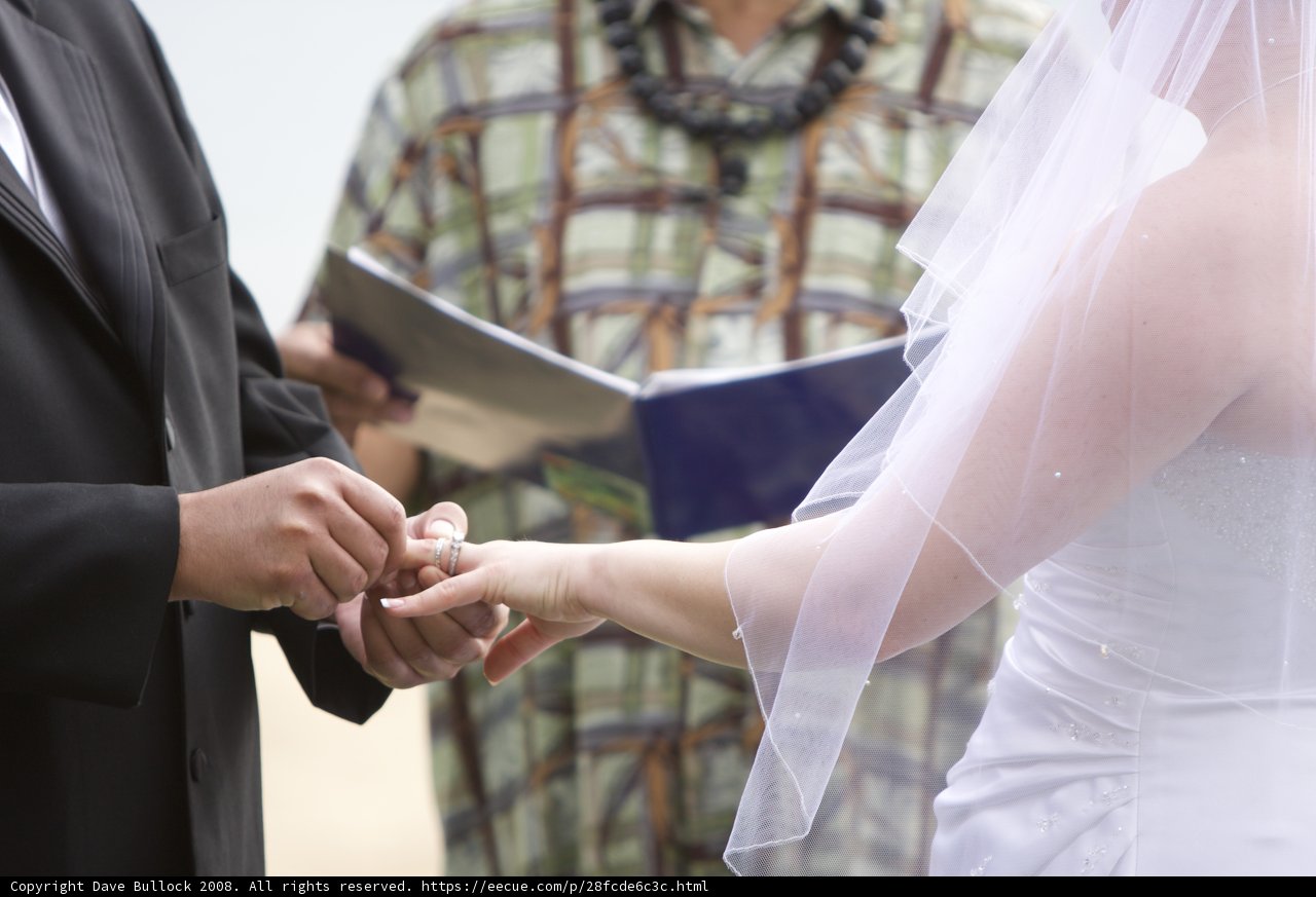 A Promise to Love