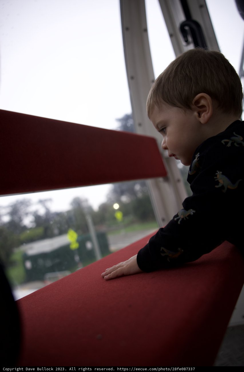 Captivating Curiosity: Caught in the Red