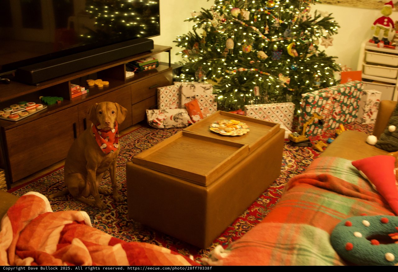 Dog in Festive Bandana by Christmas Tree