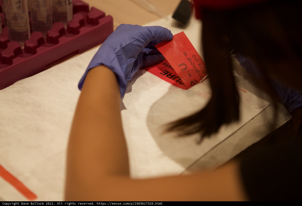 Cutting out an Origami Creation