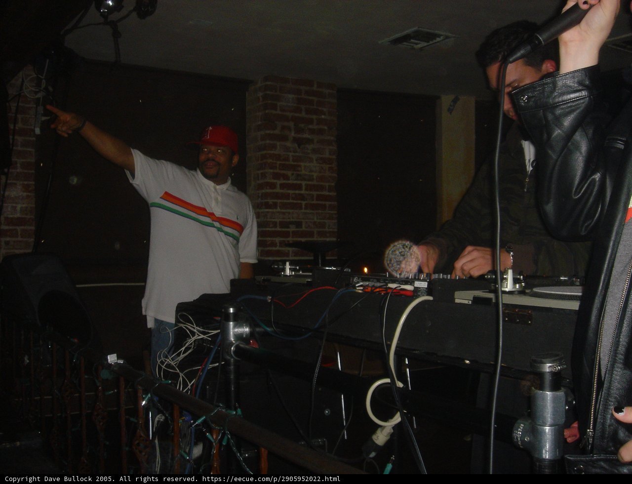 Musical Performance in a Cozy Club