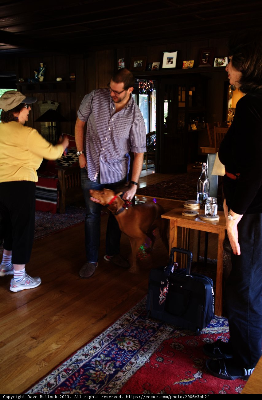 Man and Dog in Cozy Living Room