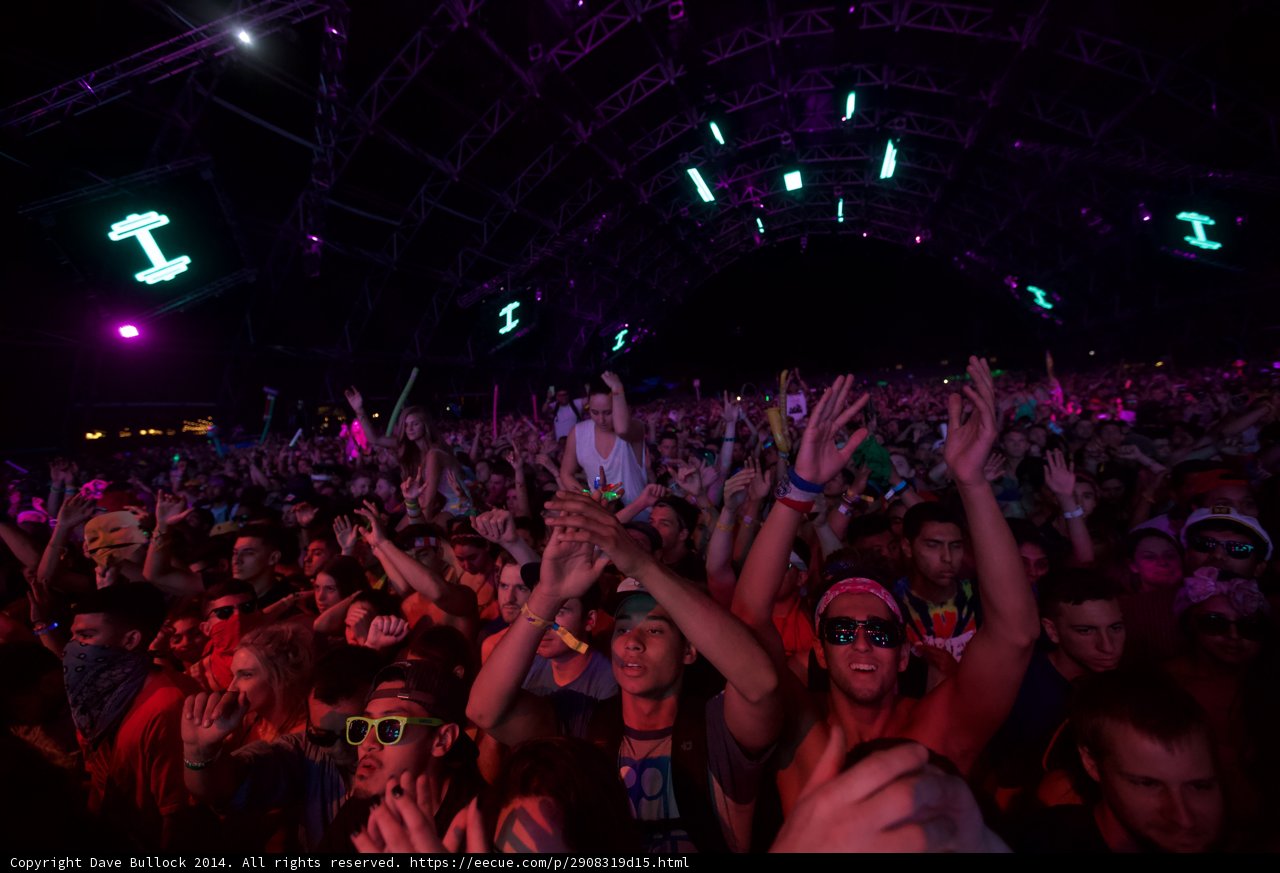 Energetic Crowd at Coachella
