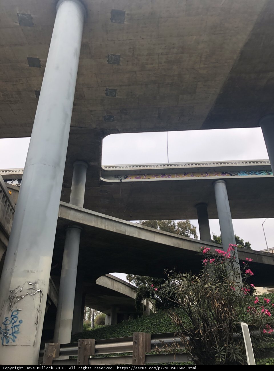 Urban Jungle