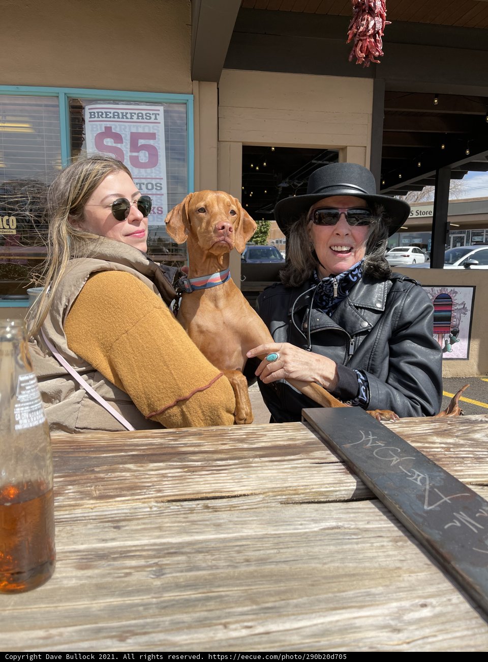 Hats and Hounds
