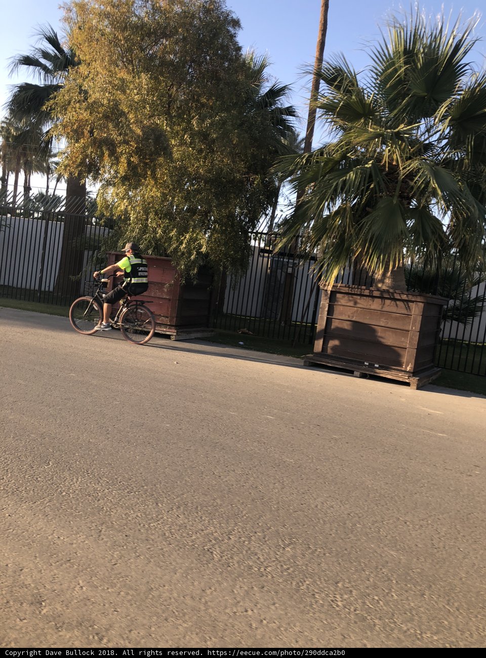Cycling Through Summer Streets