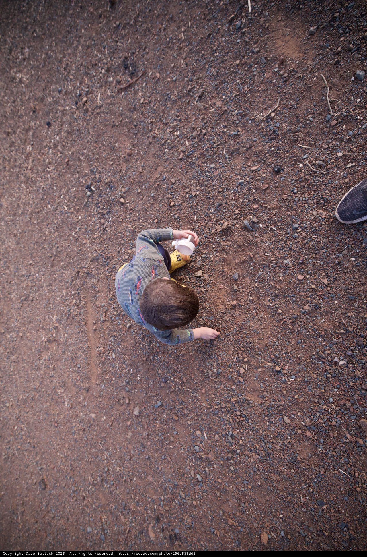 Toddler Explores Rocky Dirt Path from Above