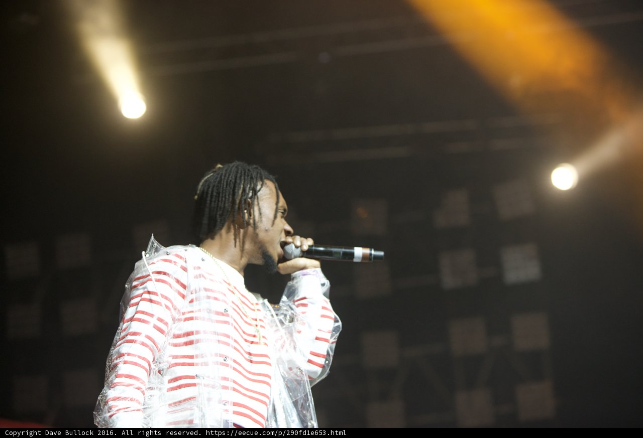 Red Shirted Singer Rocking Coachella