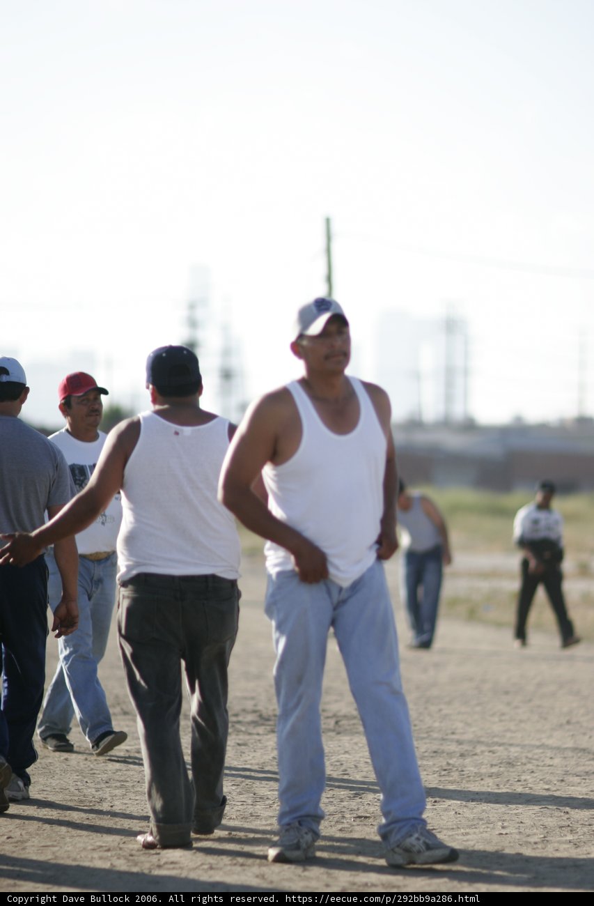 The Walking Ball Players