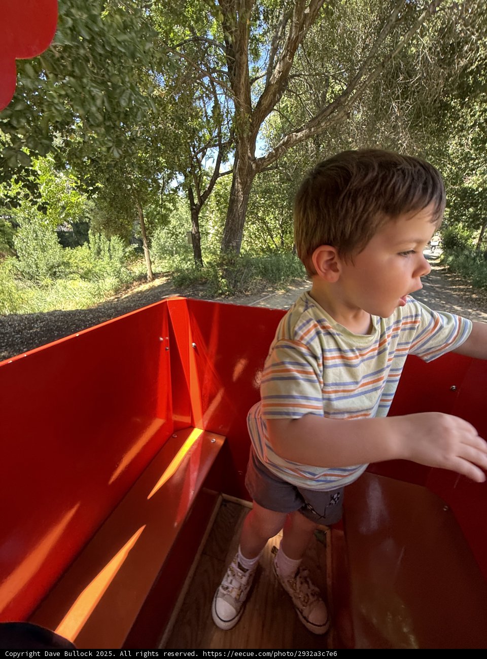 Adventure in the Park
