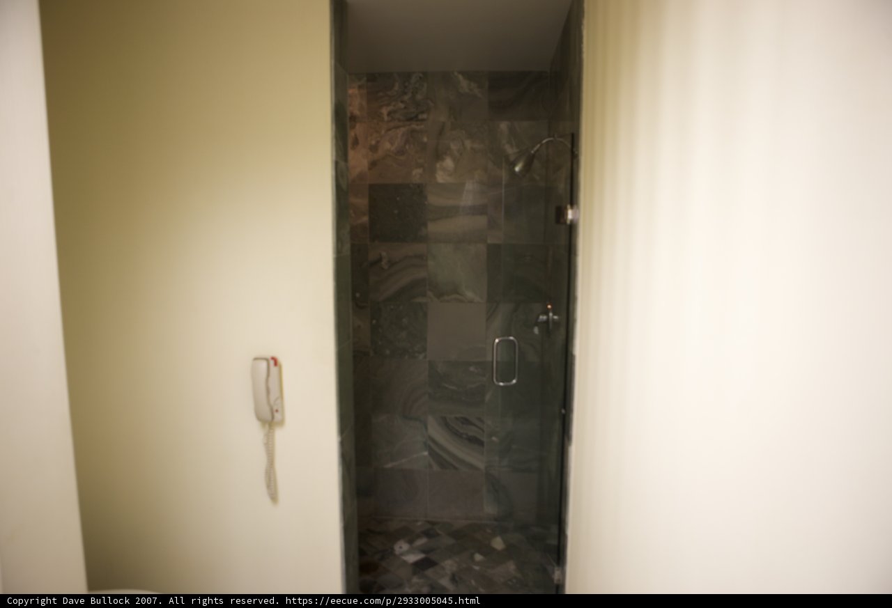 The Multi-Tasking Shower