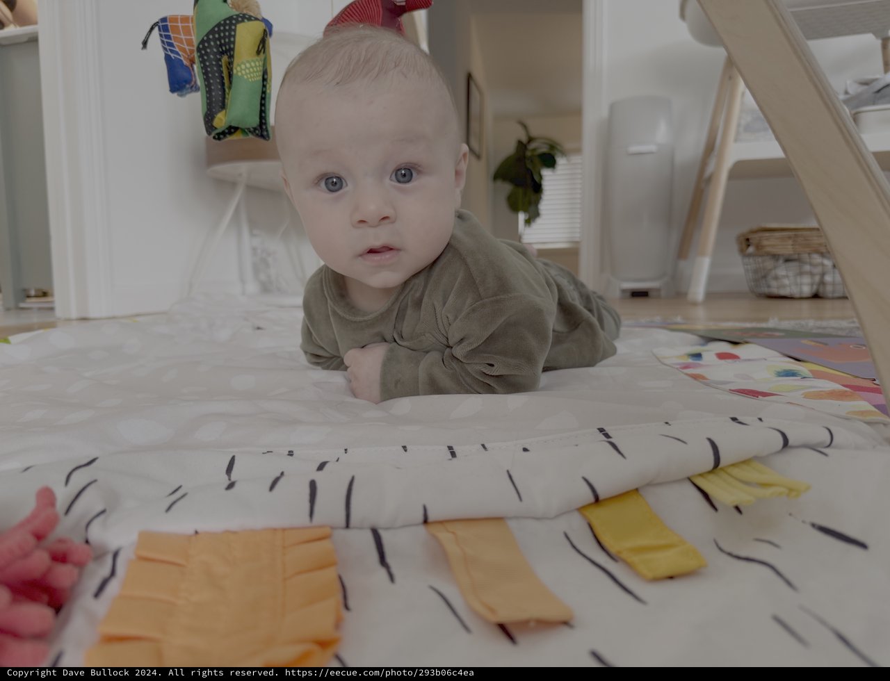 Baby's First Tummy Time Exploration